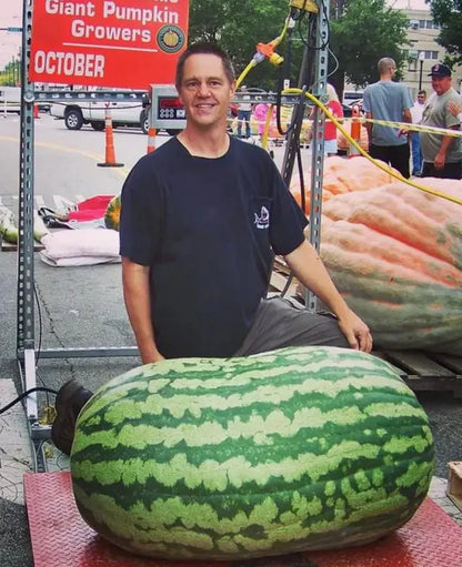 ⚡Flash-Sale⚡100k-sold⚡ Lazy Man's Watermelon Seeds-#YUN7