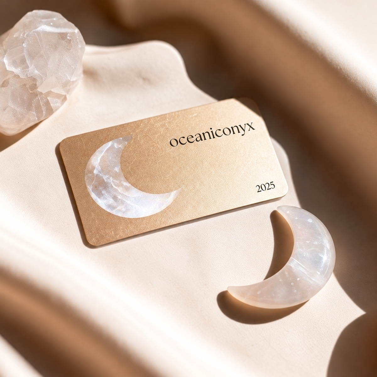 Welcome to  oceaniconyx-JF